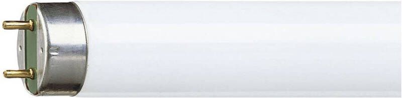 Philips TL D buis 18W 28mm 60cm kleur 830 Wit