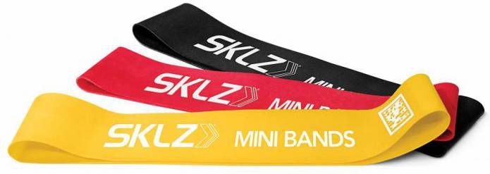 VidaXL Sklz Mini Bands Multi resistance Training Band Set Met Mobiele Video&apos online kopen