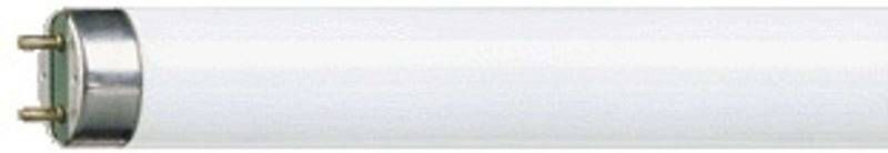 Philips G13 T8 tl lamp MASTER TL D super van 15W, 830