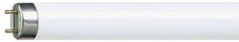 Philips G13 T8 tl lamp MASTER TL D Super van 30W, 865