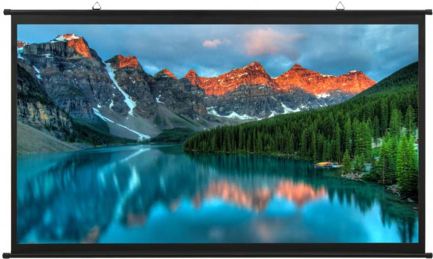 VIDAXL Projectiescherm 4 3 50''