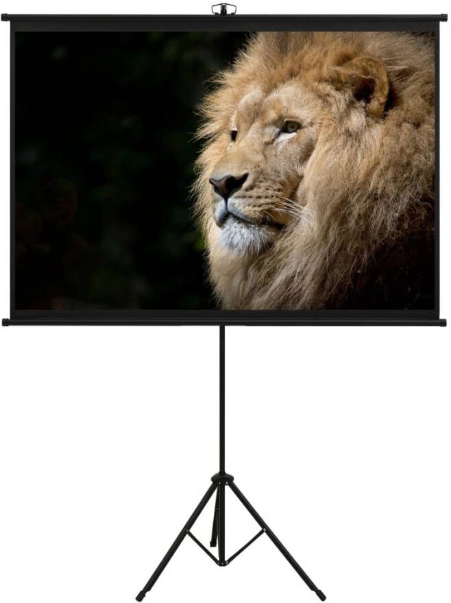VidaXL Projectiescherm Met Statief 1 47&apos, &apos