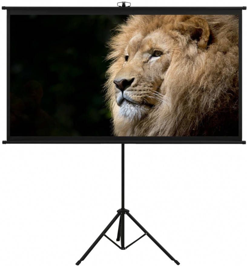 VidaXL Projectiescherm Met Statief 16 9 100&apos, &apos