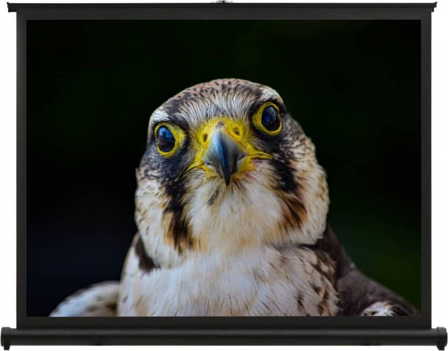 VIDAXL Tafelprojectiescherm 4 3 40''