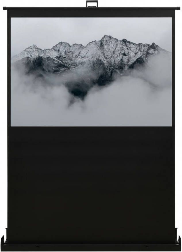 VidaXL Vloerprojectiescherm 16 9 60&apos, &apos