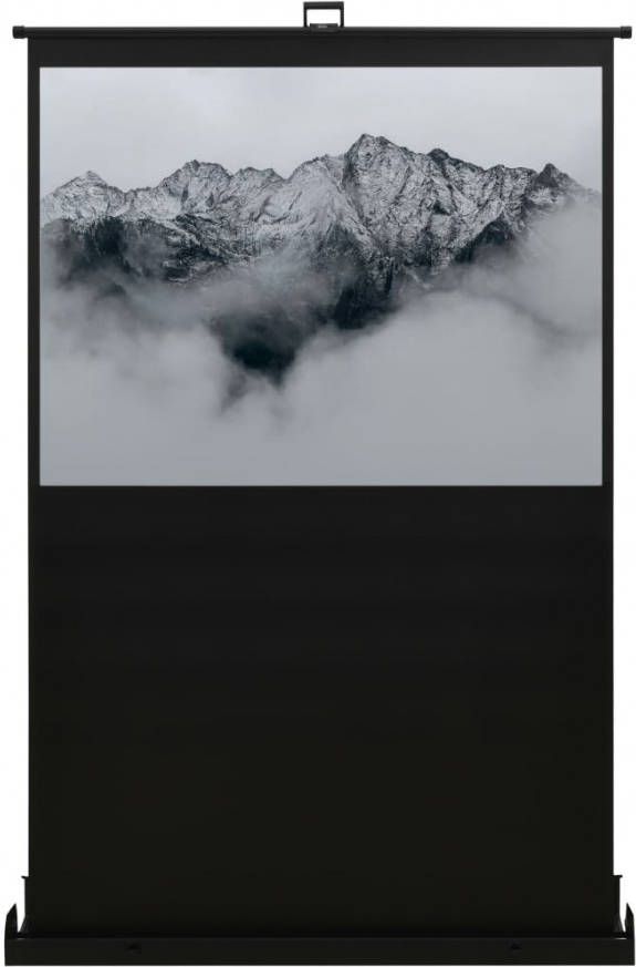 VidaXL Vloerprojectiescherm 4 3 55&apos, &apos